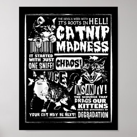 Catnip Madness Niedlich Kitten Katzengeschenk für  Poster (Vorne)