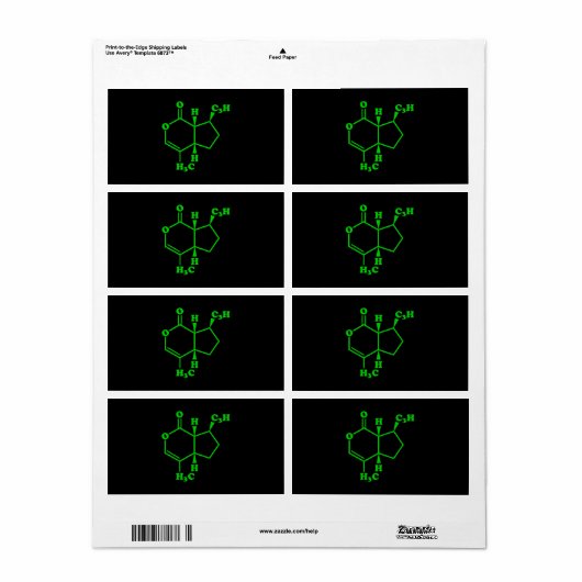 Catnip Nepetalacton Molekulare chemische Formel (Vorne)