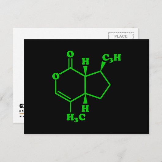 Catnip Nepetalacton Molekulare chemische Formel Postkarte (Vorne/Hinten)