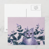 Catnip Postkarte (Vorne/Hinten)