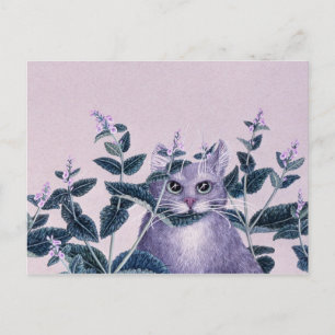 Catnip Postkarte