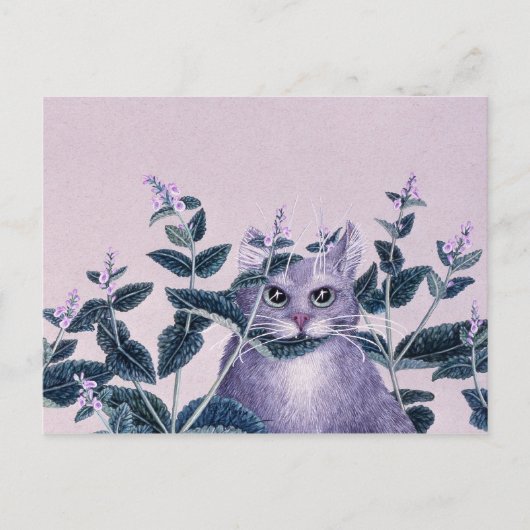 Catnip Postkarte (Vorderseite)