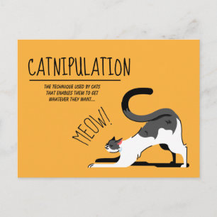 Catnipulation Cat Lovers Meet Design Postkarte
