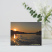 Catoma Creek Sunset Postkarte (Stehend Vorderseite)