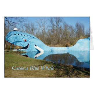 Catoosa Blauwal