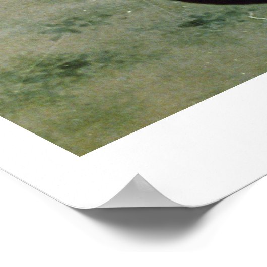 Cats, 17th century poster (Ecke)