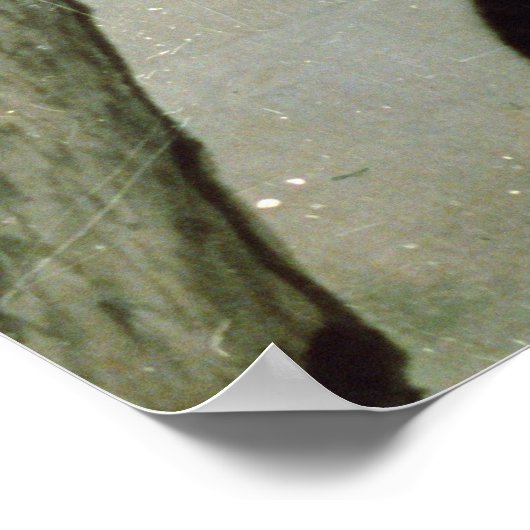 Cats, 17th century poster (Ecke)