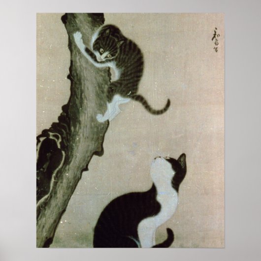 Cats, 17th century poster (Vorne)
