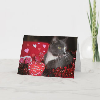"Cats and Kisses" Karte