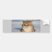 cats_and_verschnee7 autoaufkleber (Vorne)