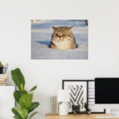 cats_and_verschnee7 poster (Heimbüro)