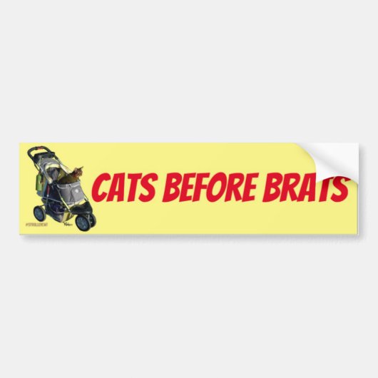 Cats Before Brats Bumper Sticker Autoaufkleber (Vorne)