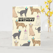Cats Birthday Card Karte (Gelbe Blume)
