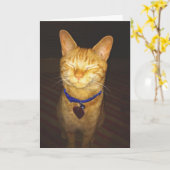 Cat's Birthday Wishes Greeting Karte (Gelbe Blume)