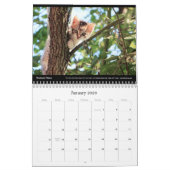 Cats Business Company Corporate Wall Kalender 2024 (Jan 2026)