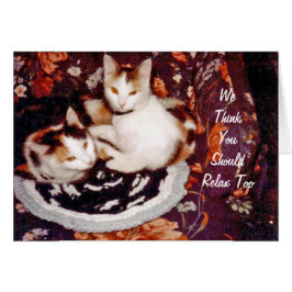 Cats Card zum Nachdenken