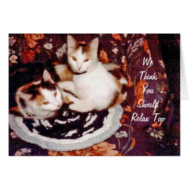 Cats Card zum Nachdenken (Vorderseite (Horizontal))