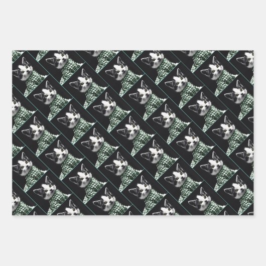 Cats celebrating a birthday with cake and candles geschenkpapier set (Vorderseite 2)