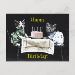 Cats celebrating a birthday with cake and candles postkarte