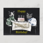 Cats celebrating a birthday with cake and candles postkarte (Vorderseite)