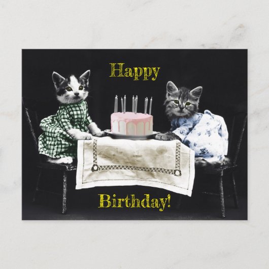 Cats celebrating a birthday with cake and candles postkarte (Vorderseite)