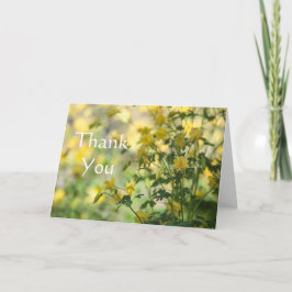 Cats-Claw Vielen Dank Dankeskarte