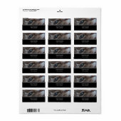 Cat's Eye Address Labels Adressaufkleber (Vorne)