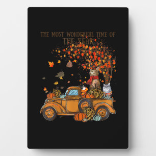 Cats Fall Pumpkin-vollen LKW Autumn Tree Blätter C Fotoplatte