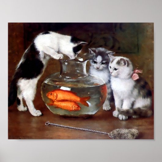 Cats Fishing in Goldfish bowl Poster (Vorne)