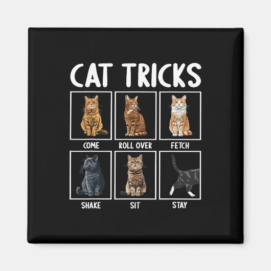 Cats Funny Cat Tricks Magnet (Vorne)