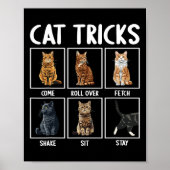 Cats Funny Cat Tricks Poster (Vorne)