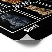 Cats Funny Cat Tricks Poster (Ecke)