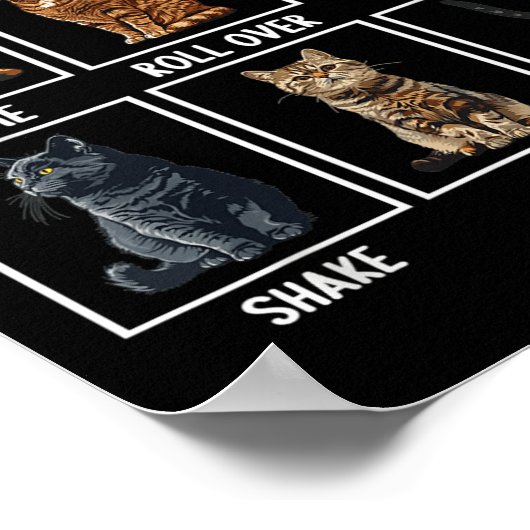 Cats Funny Cat Tricks Poster (Ecke)