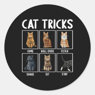 Cats Funny Cat Tricks Runder Aufkleber