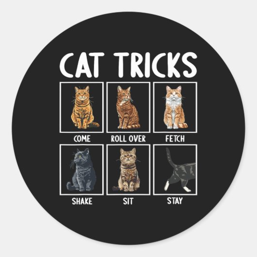Cats Funny Cat Tricks Runder Aufkleber (Vorderseite)