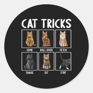 Cats Funny Cat Tricks Runder Aufkleber