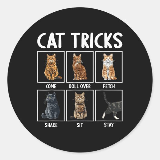 Cats Funny Cat Tricks Runder Aufkleber (Vorderseite)