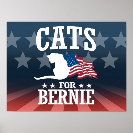 CATS FÜR BERNIE SANDERS POSTER (Vorne)