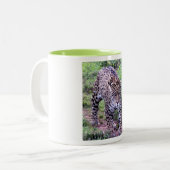 Cats Jaguar Safari Destiny Nature Zweifarbige Tasse (Vorderseite Links)