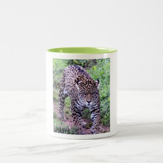 Cats Jaguar Safari Destiny Nature Zweifarbige Tasse (Mittel)
