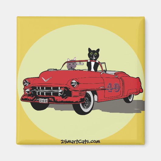 Cats Joy Riding Square Magnet (Vorne)