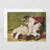 Cats Kitten Vintage Illustration Art Postkarte (Vorne/Hinten)
