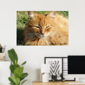 Cat's life - Amarillo Schlafen Poster (Heimbüro)
