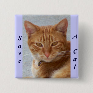 Cat's Lover_ Button
