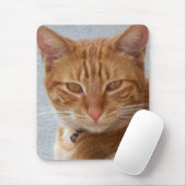 Cat's Lover_ Mousepad (Mit Mouse)
