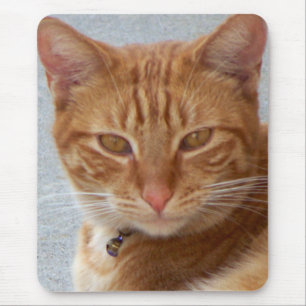 Cat's Lover_ Mousepad