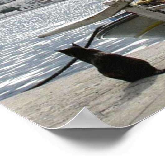 Cat's Lunchboat Poster (Ecke)