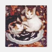 Cats Magnet (Vorne)