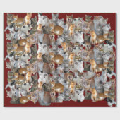 Cats meeting point geschenkpapier (Flach)