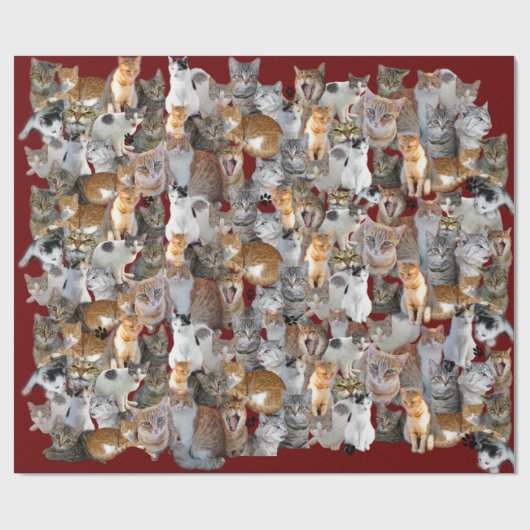 Cats meeting point geschenkpapier (Flach)